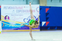 Тула провела крупный турнир по художественной гимнастике, Фото: 135