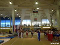 Туляки на соревнованиях по спортивной гимнастике в Брянске., Фото: 30