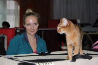 В Туле прошла международная выставка кошек, Фото: 34