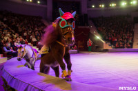 "Тайна пирата" в Тульском цирке, Фото: 39