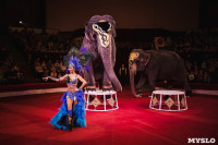 «Шоу Слонов» в Тульском цирке, Фото: 21