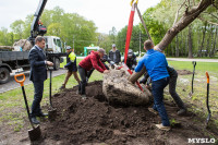 В Центральном парке Тулы высадили крупномерные саженцы ивы, Фото: 13