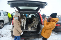 Праздник северных собак на Куликовом поле , Фото: 27