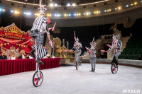 Грандиозное цирковое шоу «Песчаная сказка» впервые в Туле!, Фото: 9