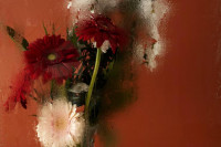 , Фото: 6