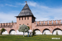 Цветущая Тула, Фото 34
