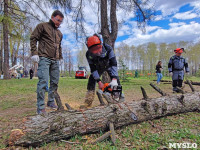 ЕВРАЗ посадил в Пролетарском парке 100 деревьев, Фото: 35