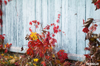 Золотая осень в Ясной Поляне, Фото: 106
