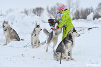 Праздник северных собак на Куликовом поле , Фото: 44