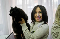 В Туле прошла международная выставка кошек «Зимнее конфетти», Фото: 4