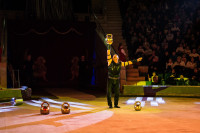 "Чудеса под Новый год" в Тульском цирке, Фото: 26