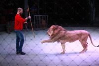 Новая программа в Тульском цирке «Нильские львы». 12 марта 2014, Фото: 9