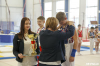 Спортивная гимнастика в Туле 3.12, Фото: 60