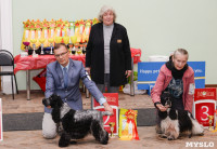 Выставки собак в ДК "Косогорец", Фото: 42