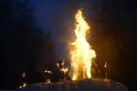 В ЦПКиО сожгли чучело зимы, Фото: 32