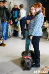 Выставка собак в Туле, Фото: 49