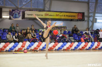 Всероссийский турнир по художественной гимнастике, Фото: 103