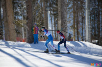 Состязания лыжников в Сочи., Фото: 48