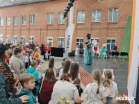 Фестиваль «Шар-папье»: Тульский кремль украсили огромные новогодние бусы, Фото: 33