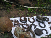 В Тульской области в лесу поисковики нашли захоронение артиллеристов и лошадей, Фото: 6