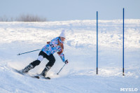 Первый этап чемпионата и первенства Тульской области по горнолыжному спорту, Фото: 22