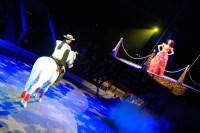 Цирк «Вива, Зорро!» в Туле , Фото: 32