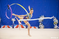 Соревнования по художественной гимнастике на призы благотворительного фонда «Земляки», Фото: 194