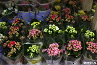 Леруа Мерлен Цветы к празднику, Фото: 6