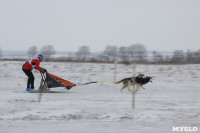 Гонки на собачьих упряжках «Большой тур» на Куликовом поле, Фото: 170