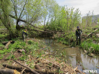 В Туле ведется расчистка Щегловского ручья от мусора, Фото: 1