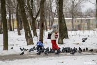 Рогожинский парк, зима 2019, Фото: 8
