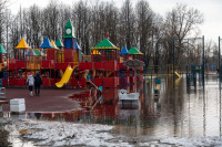 В Туле затопило Баташевский сад, Фото: 43