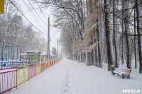 Снежная Тула. 15 ноября 2015, Фото: 15