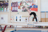 Первенство ЦФО по спортивной гимнастике среди юниорок, Фото: 8