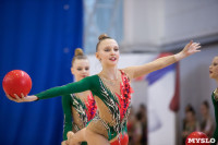Соревнования по художественной гимнастике на призы благотворительного фонда «Земляки», Фото: 152