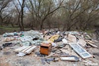 В Туле на берегу Тулицы обнаружен незаконный мусорный полигон, Фото: 34