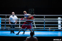 Финал "Гран-При Тулы" по боксу, Фото: 37