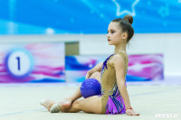 Тула провела крупный турнир по художественной гимнастике, Фото: 150