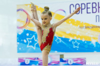 Тула провела крупный турнир по художественной гимнастике, Фото: 37