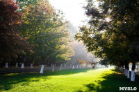Центральный парк, утро, осень, Фото: 42