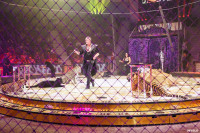Шоу Гии Эрадзе «5 континентов» в Тульском цирке: феерия уже началась!, Фото: 81