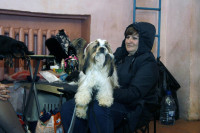 В Туле прошла всероссийская выставка собак, Фото: 4