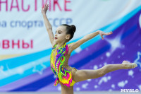 Тула провела крупный турнир по художественной гимнастике, Фото: 29