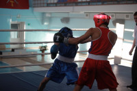 Первенство Тульской области по боксу, Фото: 29