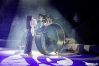 Премьера новогоднего шоу в Тульском цирке, Фото: 82