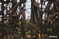 Всехсвятское кладбище, Фото: 226