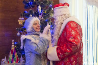 В Туле открылась резиденция Деда Мороза, Фото: 45