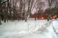 Вечерний снегопад, Фото: 28
