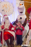 В Туле открылась резиденция Деда Мороза, Фото: 65