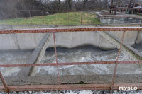 Как строят цех механического обезвоживания для очистных в Туле, Фото: 9